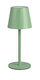 Reality Leuchten LED Akku Außen Tischleuchte Diaz R55961149, Metall Pistaziengrün, inkl. 1.6 Watt...