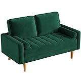 Vesgantti 2 Sitzer Sofa, Samt Kleines Couch mit 2 Wurfkissen, Modern 2er Gästesofa mit Armlehne,...
