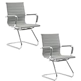 chairus Freischwinger Stühle 2er Set, PU-Leder Besucherstuhl Konferenzstuhl Ergonomisch mit...