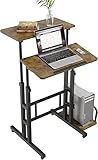 Dripex 60x60cm Stehpult Höhenverstellbar Schreibtisch, Mobiler Computertisch mit 4 Rollen,...