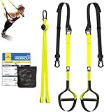 RHINOSPORT Schlingentrainer Sling Trainer Ganzkörpertraining, Schlingentrainer für zuhause,...