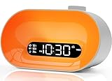 Bluetooth Lautsprecher Lichtwecker Wake Up Light mit Sonnenaufgang Simulation,UKW-Radio,2 Alarme,...