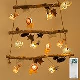 Liyade LED Tiere Lichterkette Innen, 2.2M 12LEDS Lichterkette Kinderzimmer mit Batteriebetrieb...