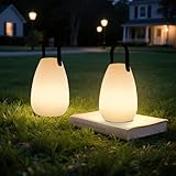light to hope 2 Stück LED Akku Outdoor Lampe mit Fernbedienung Dimmbare Tischlampe Kabellos 8...
