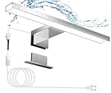 Hommie LED Spiegelleuchte Bad mit Schalter 30CM 5W 4000K Neutralweiß Aluminiumlegierung...