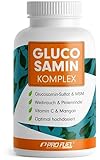 Glucosamin Komplex hochdosiert, 120 Kapseln, Hochwertige Matrix mit Glucosamin,...