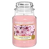 Yankee Candle Duftkerze im Glas (groß) | Cherry Blossom | Brenndauer bis zu 150 Stunden | Perfekte...