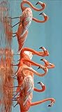 Strandtuch XXL Flamingos 100x180 cm Badetuch Groß 100% Mikrofaser Handtuch Stranddecke...