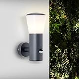 Lightbox Wandlampe - spritzwassergeschützte Haustürbeleuchtung mit Bewegungsmelder - 24x10,5cm -...