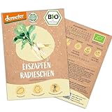 BIO Radieschen Samen, 150 Eiszapfen Radieschensamen, hohe Keimrate, Demeter zertifiziert & samenfest...