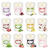 Candle Duftkerze im Glas | Weihnachten Duftkerze Geschenkset aus 12 Düft Kerze für Frauen mit 180...