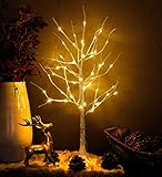 LED Baum Lichterbaum Leuchtbaum Winterbirke 90cm 60 LED warmweiß innen und außen mit Netzteil...