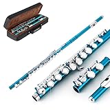 EastRock Cross querflöte,Flöten 16 Loch C Key Vernickelte Flöte mit Gehäuse...
