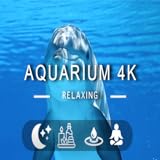 4K Dolphin Fish Aquarium - Entspannende Musik zusammen mit schönen Naturvideos - 4K Video Ultra HD...