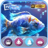 Oceanic Hues in ULTRA UHD - Supreme HD Sea Animals for Relaxation And Serene Melodies For Fire TV -...